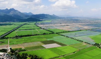 企业视频-台山市国有粮食集团有限公司-好山好水滋养好大米，源自台山质优产区的丝苗米